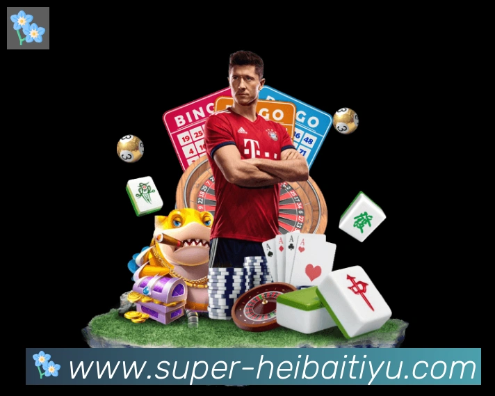 奖项证书
